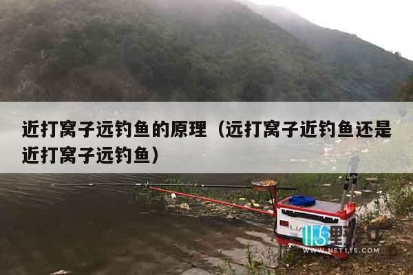 近打窝子远钓鱼的原理（远打窝子近钓鱼还是近打窝子远钓鱼）