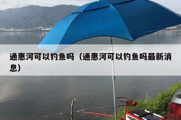 通惠河可以钓鱼吗（通惠河可以钓鱼吗最新消息）
