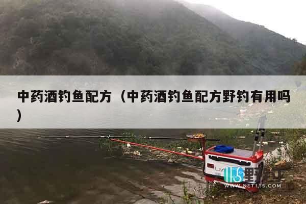 中药酒钓鱼配方（中药酒钓鱼配方野钓有用吗）