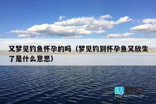 又梦见钓鱼怀孕的吗（梦见钓到怀孕鱼又放生了是什么意思）