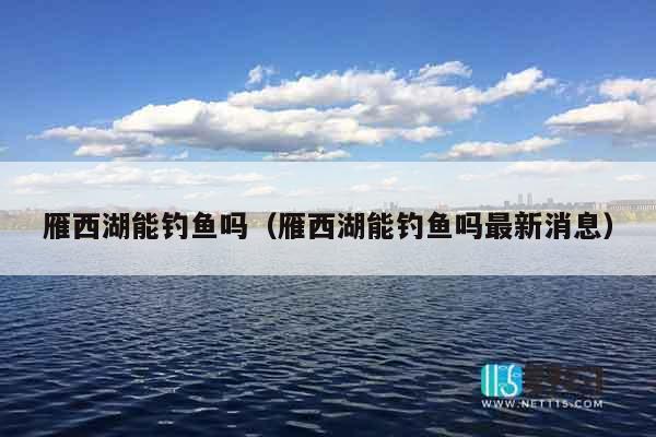 雁西湖能钓鱼吗（雁西湖能钓鱼吗最新消息）