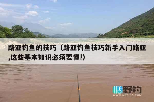 路亚钓鱼的技巧（路亚钓鱼技巧新手入门路亚,这些基本知识必须要懂!）