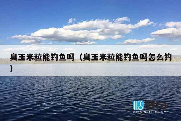 臭玉米粒能钓鱼吗（臭玉米粒能钓鱼吗怎么钓）