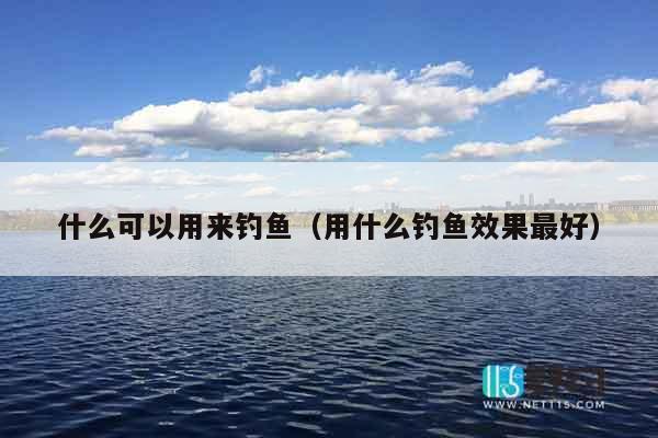 什么可以用来钓鱼（用什么钓鱼效果最好）