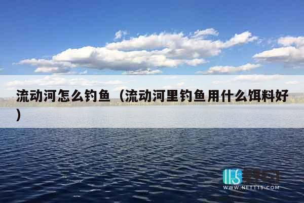 流动河怎么钓鱼（流动河里钓鱼用什么饵料好）