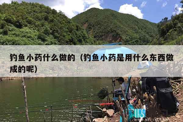 钓鱼小药什么做的（钓鱼小药是用什么东西做成的呢）