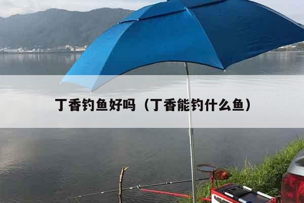 丁香钓鱼好吗（丁香能钓什么鱼）