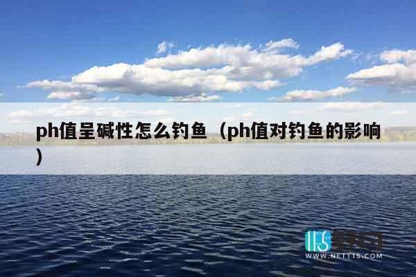 ph值呈碱性怎么钓鱼（ph值对钓鱼的影响）