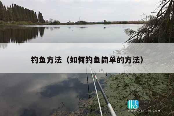 钓鱼方法（如何钓鱼简单的方法）