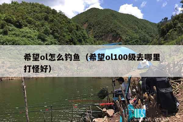 希望ol怎么钓鱼（希望ol100级去哪里打怪好）