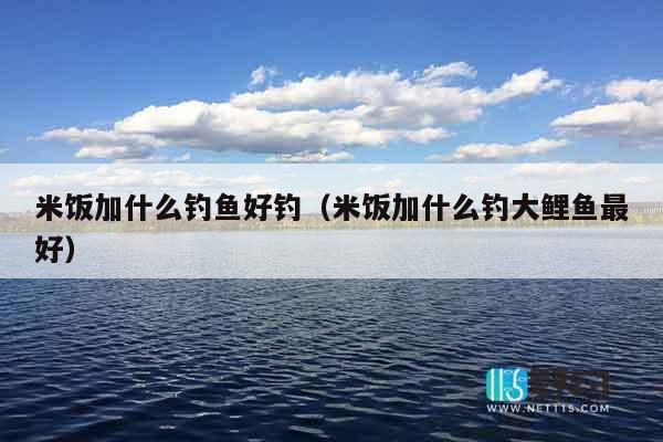 米饭加什么钓鱼好钓（米饭加什么钓大鲤鱼最好）