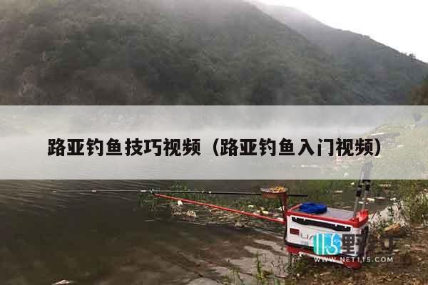 路亚钓鱼技巧视频（路亚钓鱼入门视频）