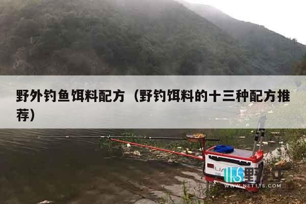 野外钓鱼饵料配方（野钓饵料的十三种配方推荐）