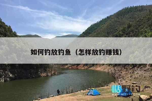 如何钓放钓鱼（怎样放钓赚钱）