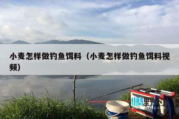 小麦怎样做钓鱼饵料（小麦怎样做钓鱼饵料视频）