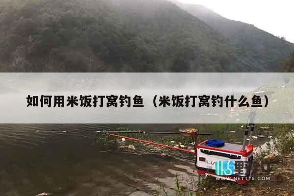 如何用米饭打窝钓鱼（米饭打窝钓什么鱼）