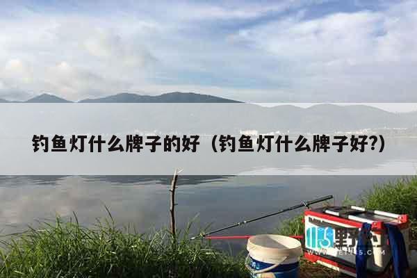钓鱼灯什么牌子的好（钓鱼灯什么牌子好?）