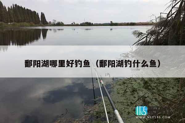 鄱阳湖哪里好钓鱼（鄱阳湖钓什么鱼）
