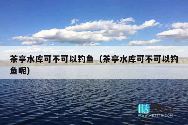 茶亭水库可不可以钓鱼（茶亭水库可不可以钓鱼呢）