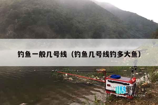 钓鱼一般几号线（钓鱼几号线钓多大鱼）