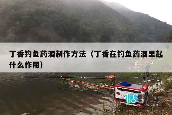 丁香钓鱼药酒制作方法（丁香在钓鱼药酒里起什么作用）