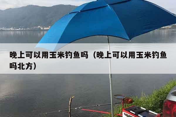 晚上可以用玉米钓鱼吗（晚上可以用玉米钓鱼吗北方）