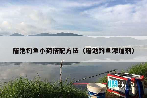 屠池钓鱼小药搭配方法（屠池钓鱼添加剂）