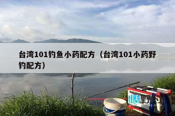 台湾101钓鱼小药配方（台湾101小药野钓配方）