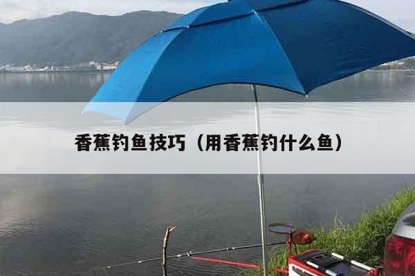 香蕉钓鱼技巧（用香蕉钓什么鱼）