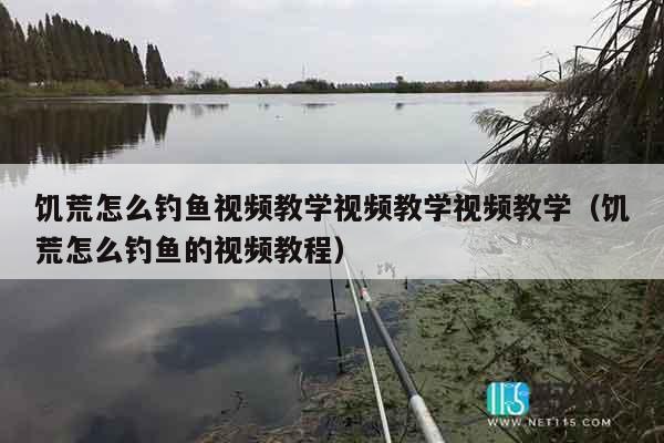 饥荒怎么钓鱼视频教学视频教学视频教学（饥荒怎么钓鱼的视频教程）