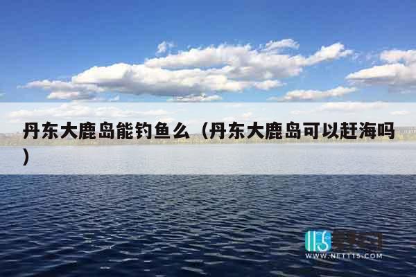 丹东大鹿岛能钓鱼么（丹东大鹿岛可以赶海吗）