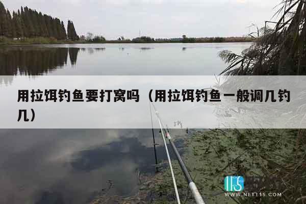 用拉饵钓鱼要打窝吗（用拉饵钓鱼一般调几钓几）