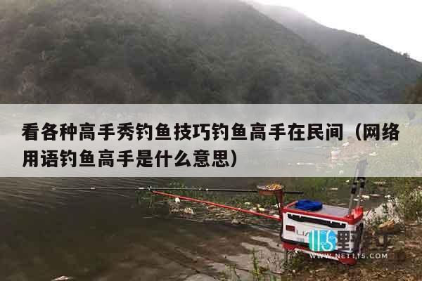 看各种高手秀钓鱼技巧钓鱼高手在民间（网络用语钓鱼高手是什么意思）