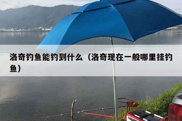 洛奇钓鱼能钓到什么（洛奇现在一般哪里挂钓鱼）