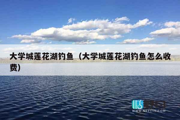大学城莲花湖钓鱼（大学城莲花湖钓鱼怎么收费）