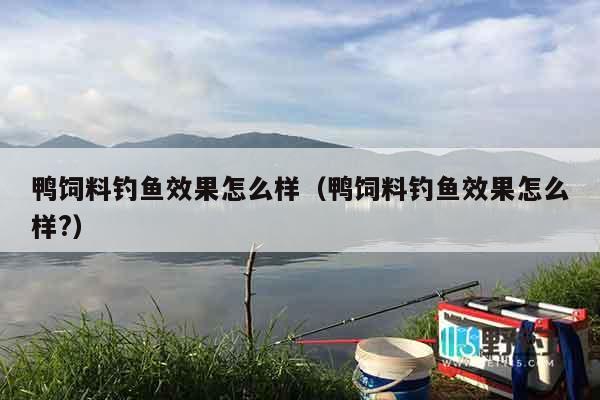 鸭饲料钓鱼效果怎么样（鸭饲料钓鱼效果怎么样?）