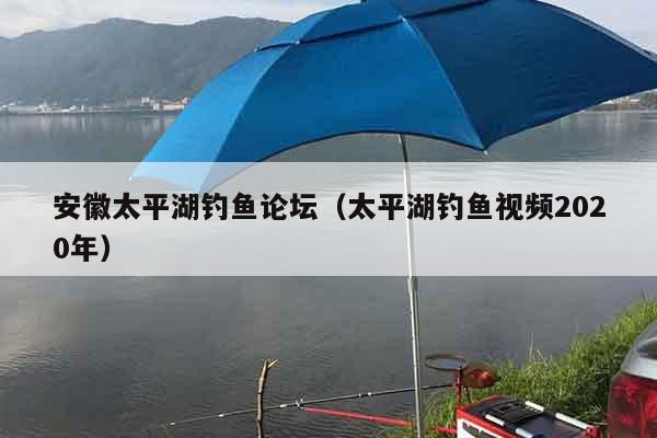 安徽太平湖钓鱼论坛（太平湖钓鱼视频2020年）