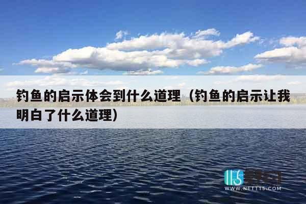 钓鱼的启示体会到什么道理（钓鱼的启示让我明白了什么道理）