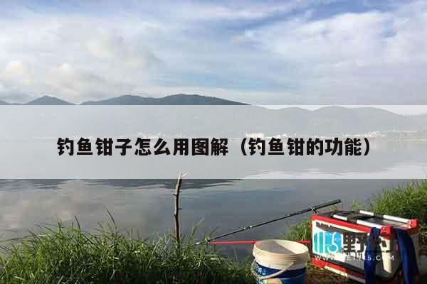 钓鱼钳子怎么用图解（钓鱼钳的功能）