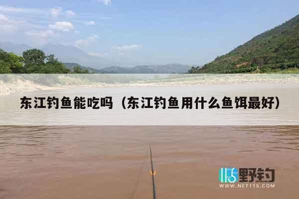 东江钓鱼能吃吗（东江钓鱼用什么鱼饵最好）