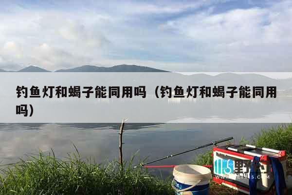 钓鱼灯和蝎子能同用吗（钓鱼灯和蝎子能同用吗）