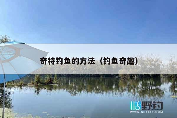 奇特钓鱼的方法（钓鱼奇趣）