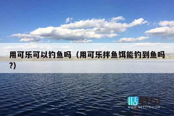 用可乐可以钓鱼吗（用可乐拌鱼饵能钓到鱼吗?）