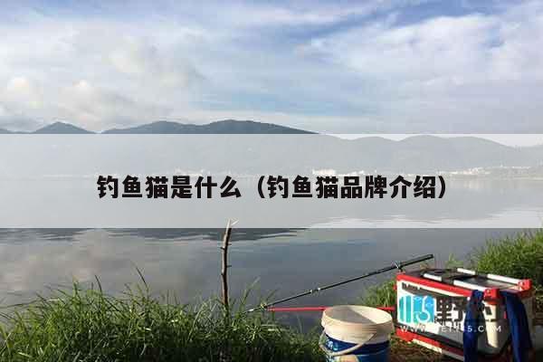 钓鱼猫是什么（钓鱼猫品牌介绍）