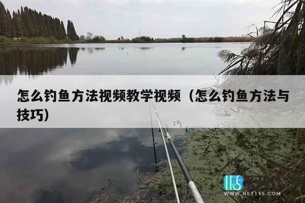 怎么钓鱼方法视频教学视频（怎么钓鱼方法与技巧）