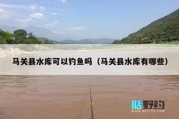 马关县水库可以钓鱼吗（马关县水库有哪些）