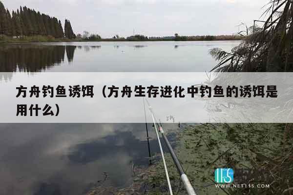 方舟钓鱼诱饵（方舟生存进化中钓鱼的诱饵是用什么）