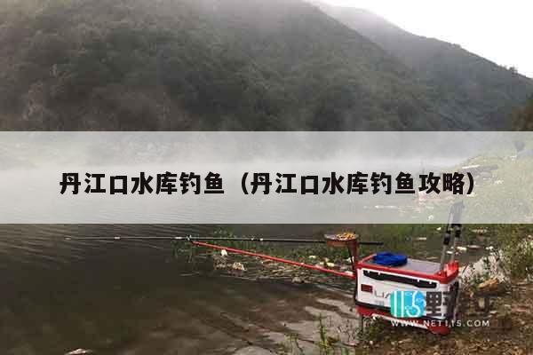 丹江口水库钓鱼（丹江口水库钓鱼攻略）