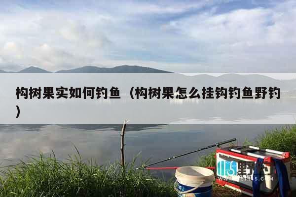 构树果实如何钓鱼（构树果怎么挂钩钓鱼野钓）