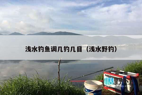 浅水钓鱼调几钓几目（浅水野钓）